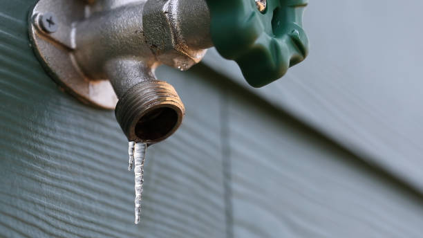 Best Drain Cleaning Services  in Watervliet, MI